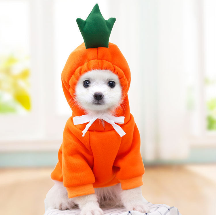Sweat à Capuche pour Chien