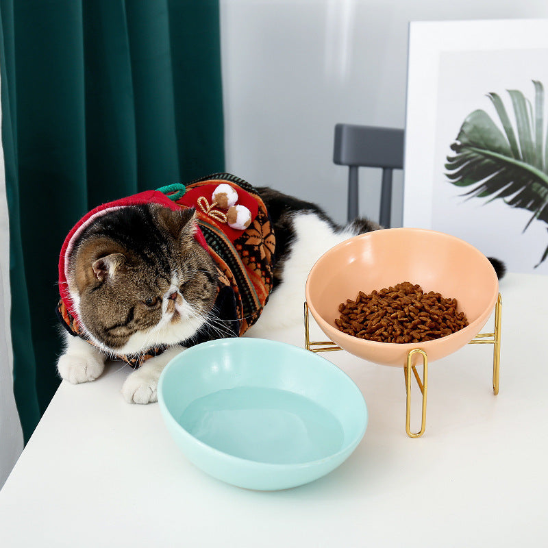 Gamelle en Céramique pour Animaux