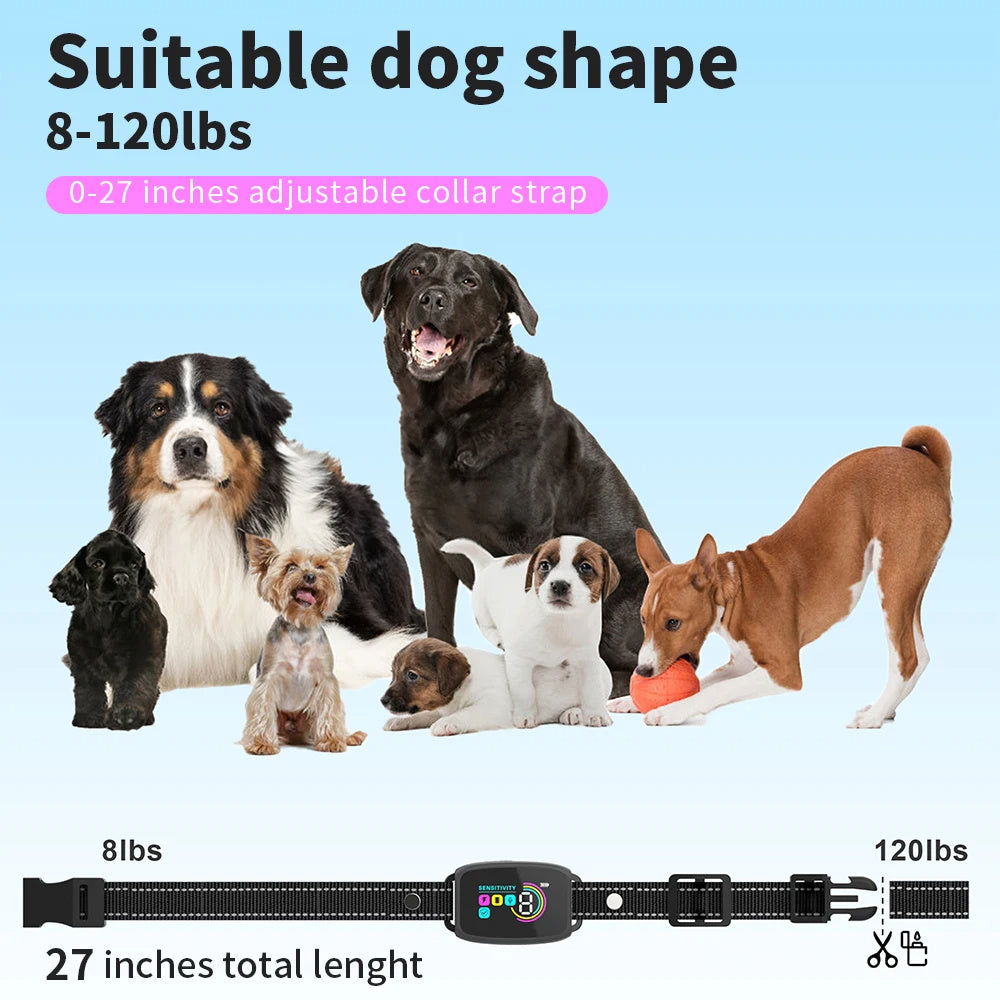 Collier Anti-Aboiement Intelligent Automatique pour Chien – Rechargeable, avec Affichage Numérique HD, Étanche IP67