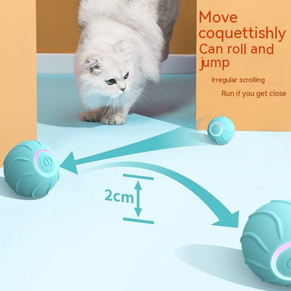 Balle Interactive Automatique pour Chats