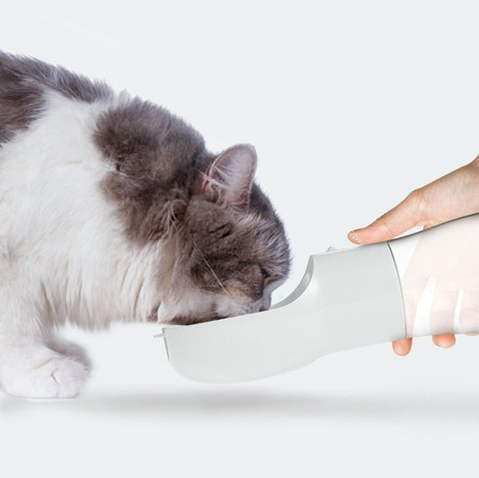 Distributeur d'eau / Nourriture portable pour animaux