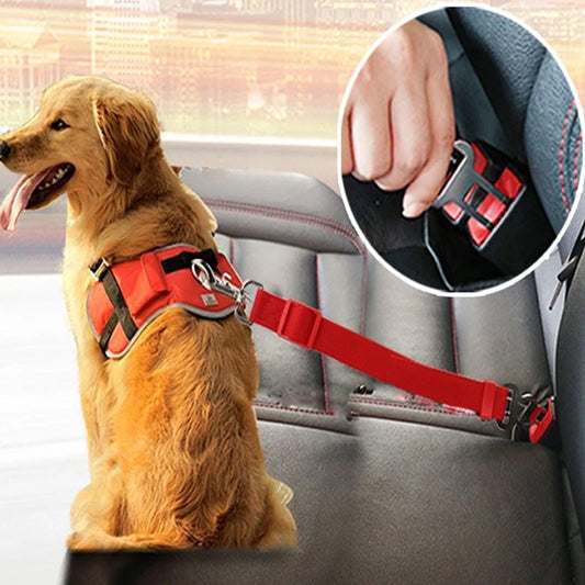 Ceinture de Sécurité Voiture pour Chiens et Chats – Réglable & Sécurisée