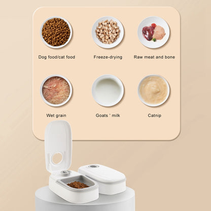 Distributeur automatique de croquettes