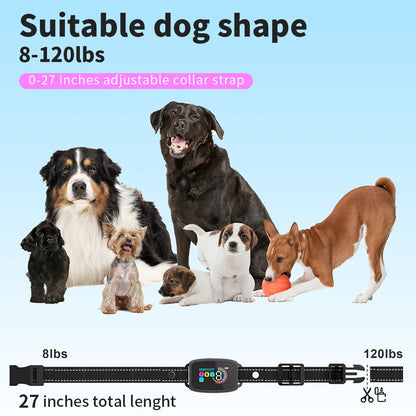 Collier Anti-Aboiement Intelligent Automatique pour Chien – Rechargeable, avec Affichage Numérique HD, Étanche IP67