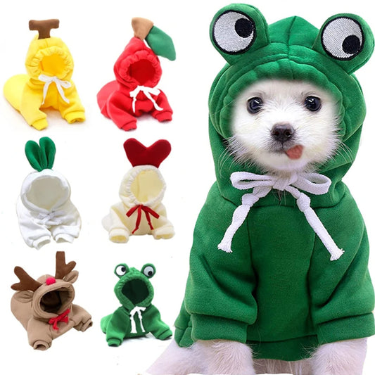 Sweat à Capuche pour Chien