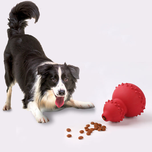 Jouet Distributeur de Friandises pour Chien