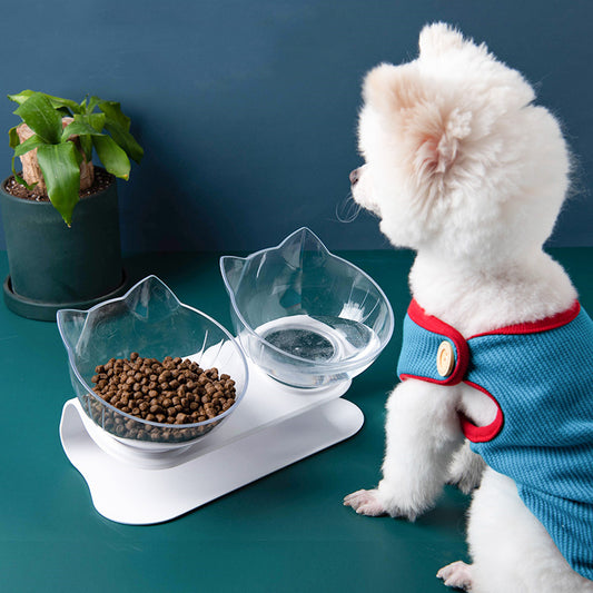 Gamelle Double Élégante et Ergonomique pour Animaux